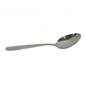 Ложка (титан) Роза Ветров